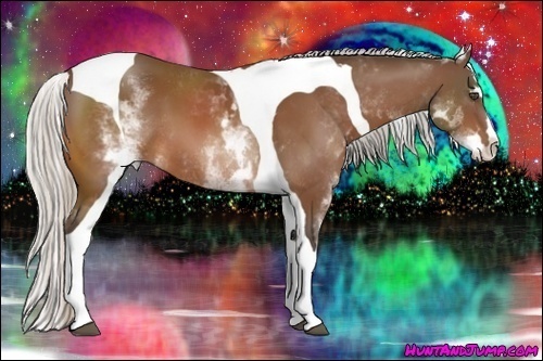 Horse Color:White Spotted Silver Bay Splash Tobiano Frame 