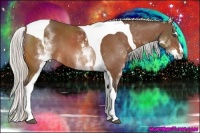 Horse Color:White Spotted Silver Bay Splash Tobiano Frame