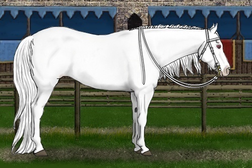 Horse Color:Silver Buckskin Chinchilla Roan Dun Appaloosa Rabicano