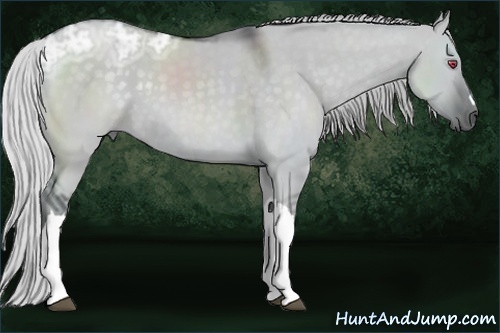 Horse Color:Silver Grullo Chinchilla Ice 