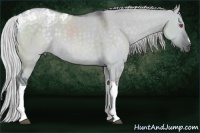 Horse Color:Silver Grullo Chinchilla Ice 