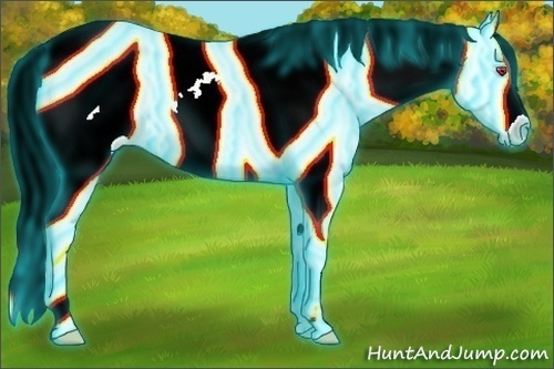 Horse Color:Thunderstruck Liver Red Dun Chinchilla Appaloosa