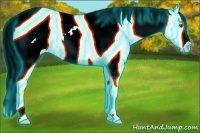 Horse Color:Thunderstruck Liver Red Dun Chinchilla Appaloosa 