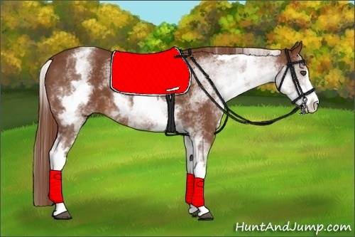 Horse Color:White Spotted Chestnut Sabino