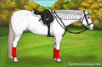 Horse Color:White Spotted Chocolate Palomino