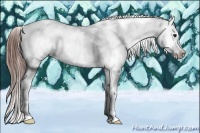 Horse Color:Brown Tobiano Fewspot 