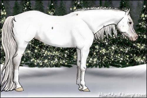 Horse Color:Silver Black Near Fewspot 