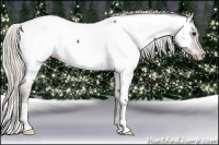 Horse Color:Silver Black Near Fewspot