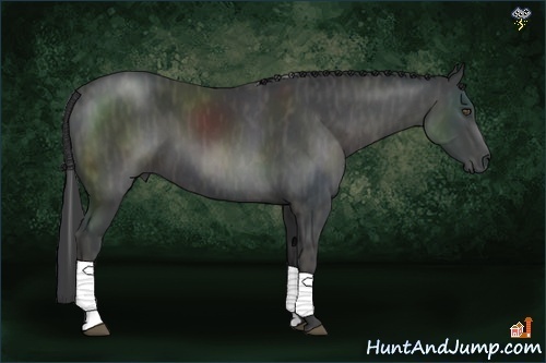 Horse Color:Black Tobiano Brindle