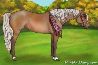Horse Color:Silver Bay Rabicano