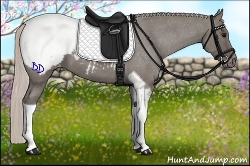 Horse Color:Silver Black Tobiano Varnish 