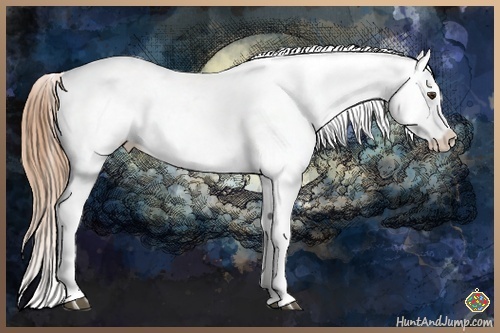 Horse Color:Buckskin Varnish