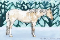 Horse Color:White Spotted Silver Bay Pearl Dun 