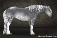 Horse Color:Silver Brown Chinchilla Ice Tobiano 