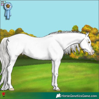 Horse Color:White Spotted Silver Brown Appaloosa 