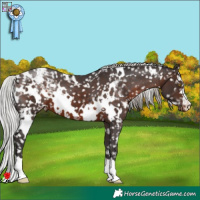 Horse Color:White Spotted Silver Brown Snowflake Varnish