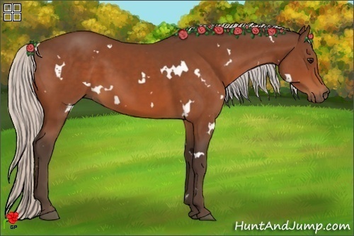 Horse Color:White Spotted Silver Bay 