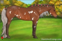 Horse Color:White Spotted Silver Bay 