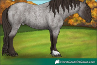 Horse Color:Liver Red Roan 
