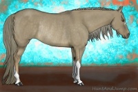 Horse Color:Liver Red Dun Rabicano 