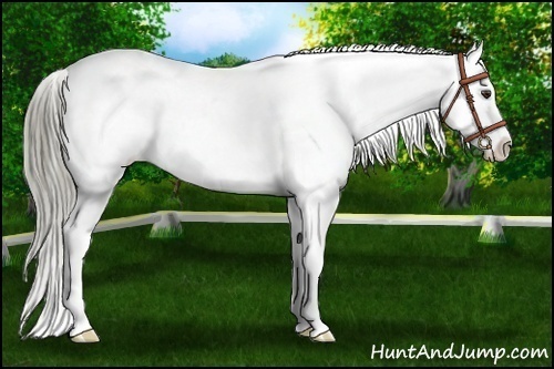 Horse Color:Liver Red Roan Mushroom Snowflake Varnish