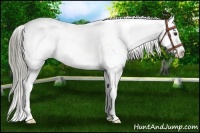 Horse Color:Liver Red Roan Mushroom Snowflake Varnish