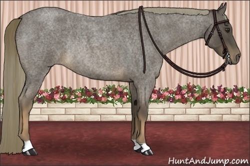 Horse Color:Liver Red Roan Rabicano