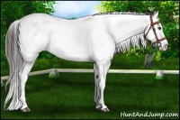 Horse Color:Liver Chestnut Snowflake Varnish