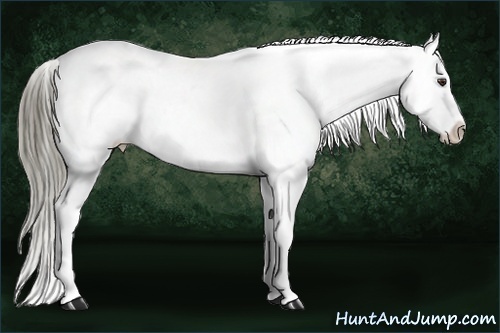 Horse Color:Liver Chestnut Mushroom Snowflake Varnish 