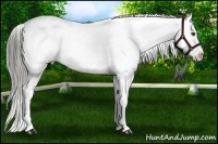 Horse Color:Liver Chestnut Mushroom Snowflake Varnish 
