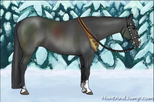 Horse Color:Black Sabino