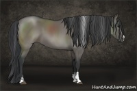 Horse Color:Grullo Sabino Rabicano