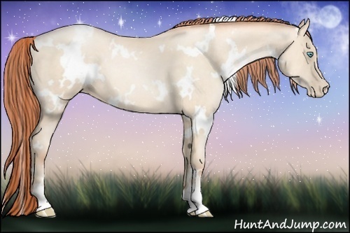 Horse Color:White Spotted Amber Cream Champagne Pearl 