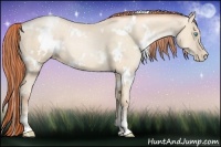 Horse Color:White Spotted Amber Cream Champagne Pearl 