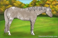 Horse Color:Silver Grullo Ice