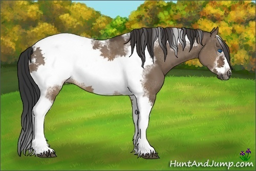Horse Color:Brown Dun Tobiano Frame Rabicano 