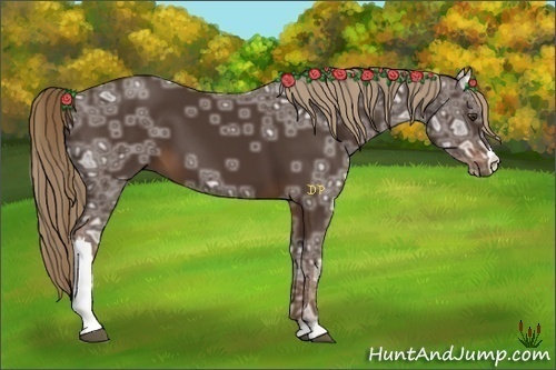 Horse Color:Liver Chestnut Ice 