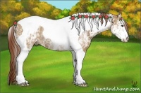 Horse Color:White Spotted Red Dun Tobiano Rabicano 