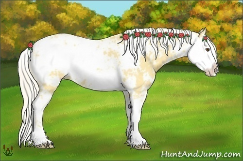 Horse Color:Palomino Dun Sabino