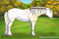 Horse Color:Palomino Dun Sabino 