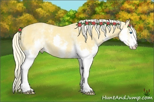 Horse Color:White Spotted Palomino Dun Splash 