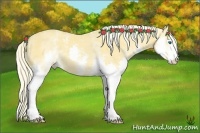 Horse Color:White Spotted Palomino Dun Splash 