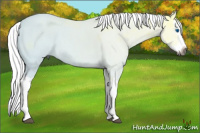 Horse Color:Gray Bay Ice Splash
