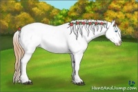 Horse Color:Grullo Sabino Splash Tobiano Near Leopard Rabicano 