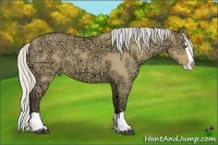 Horse Color:Silver Buckskin Ice Dun Splash 