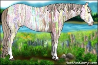 Horse Color:Chocolate Palomino Ice Splash