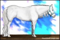 Horse Color:White Spotted Chocolate Palomino Pearl Varnish 