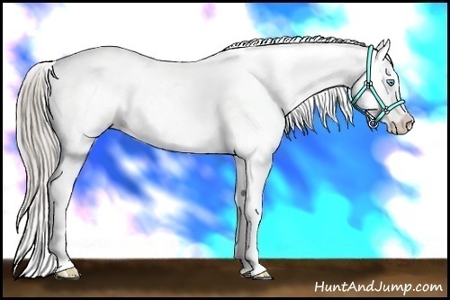 Horse Color:White Spotted Chocolate Palomino Pearl Varnish