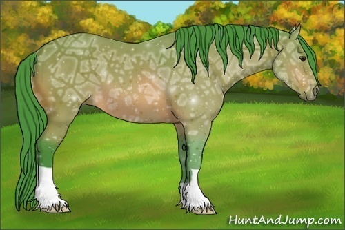 Horse Color:Watercolor Bay Ice 