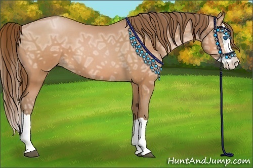Horse Color:Bay Ice Pearl Splash